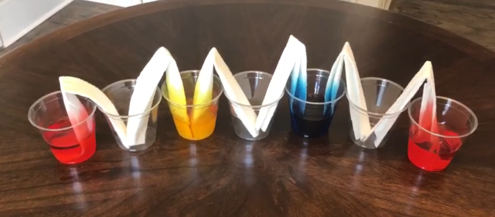 A line of clear plastic cups filled with colored liquid, showing how rolled paper towels with opposite ends in different cups will absorb colored liquid