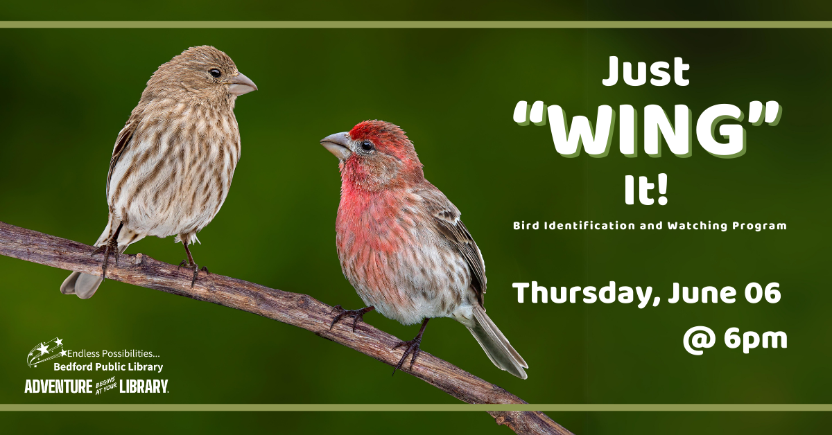 Just WING It on June 6th at 6pm. Adult program