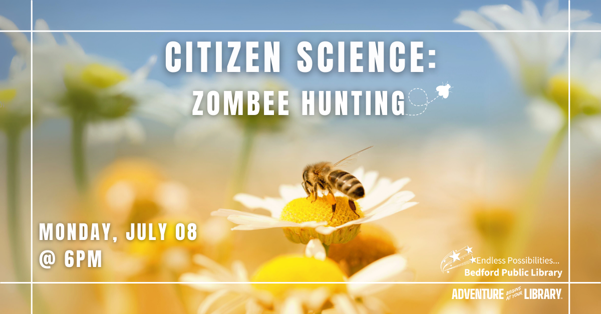 Citizen Science: Zombee Hunting on July 8 at 6pm